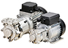Regenerative Turbine Electric Pumps - MD-CX