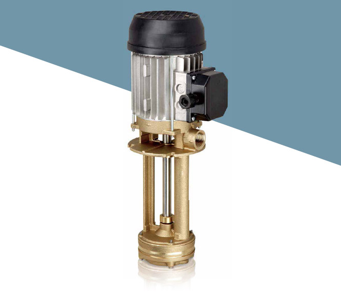 vertical electric pumps VA simaco
